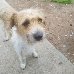 Meet your Posher, Timmy